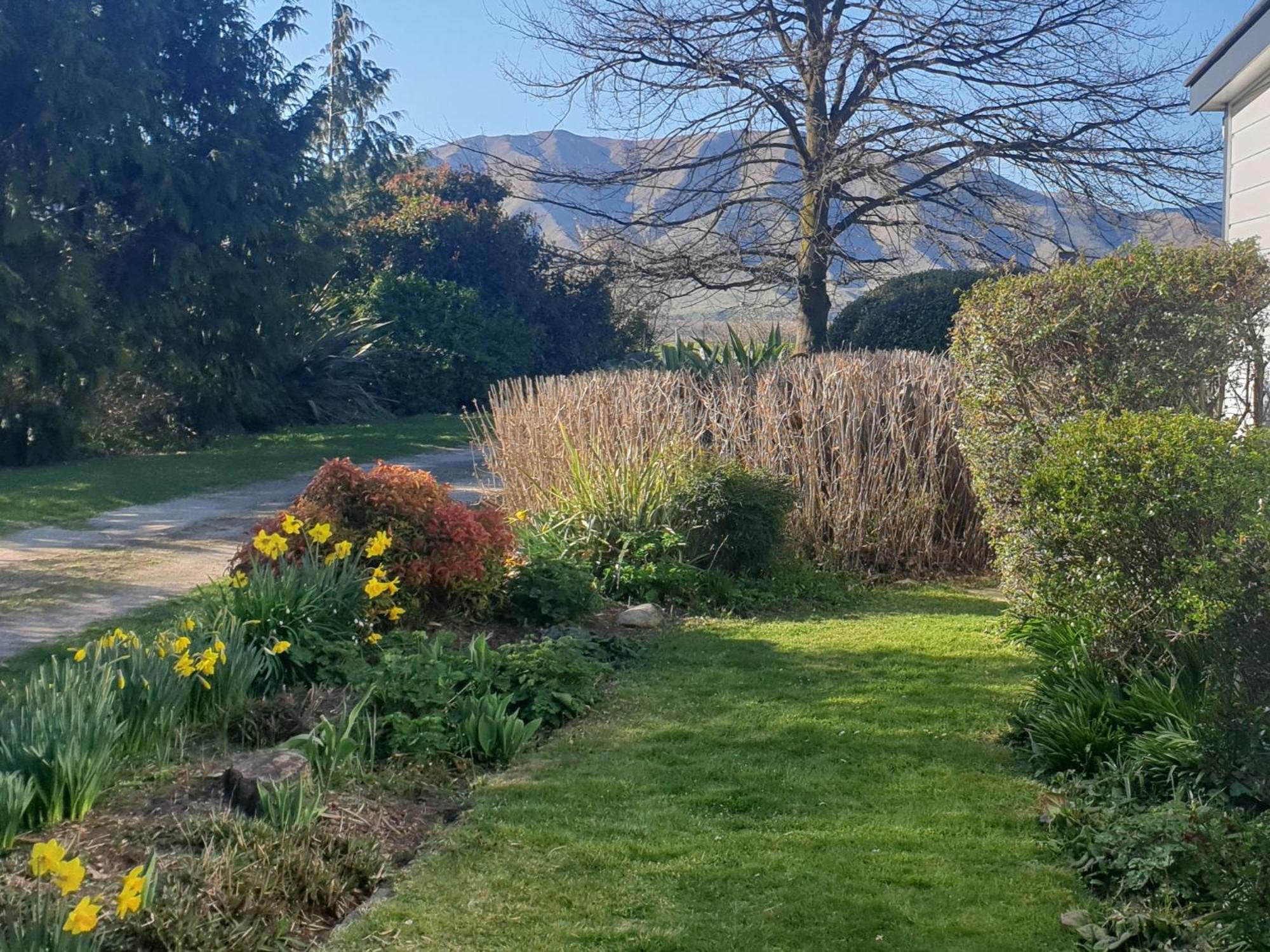 Windhaven Bed & Breakfast Duntroon Eksteriør bilde