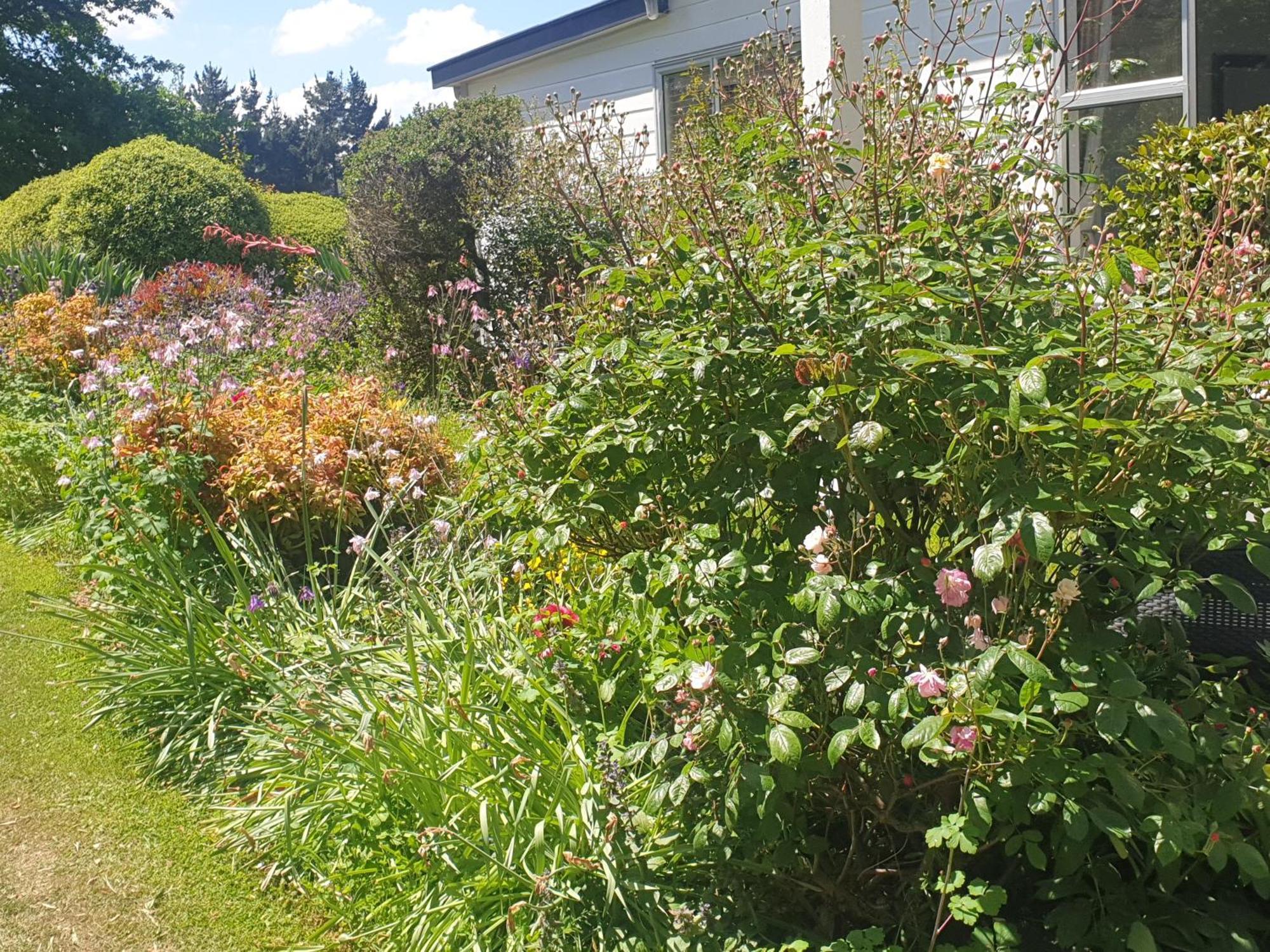 Windhaven Bed & Breakfast Duntroon Eksteriør bilde